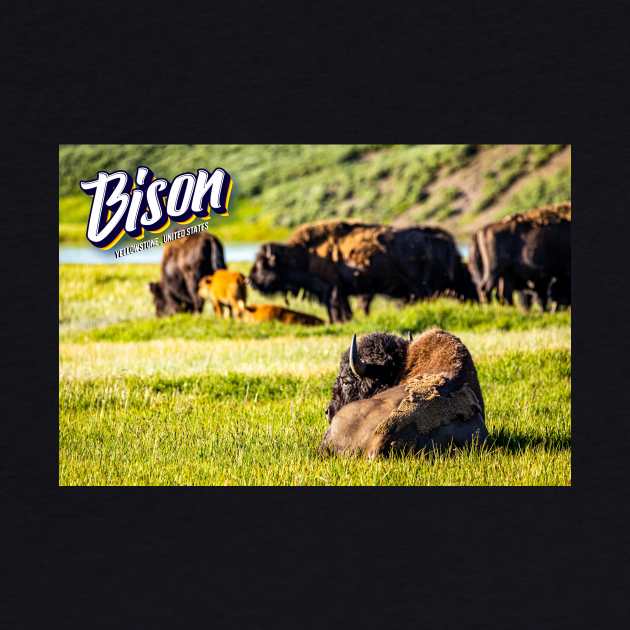 Bison at Yellowstone by Gestalt Imagery